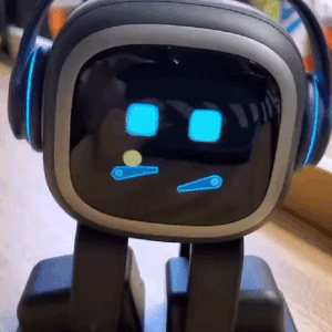 Emo robot