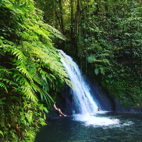 margotmood:  Stunning Guadeloupe #choute #gwada #cascade #guadalupa #guadeloupe #jungle #nature #ama