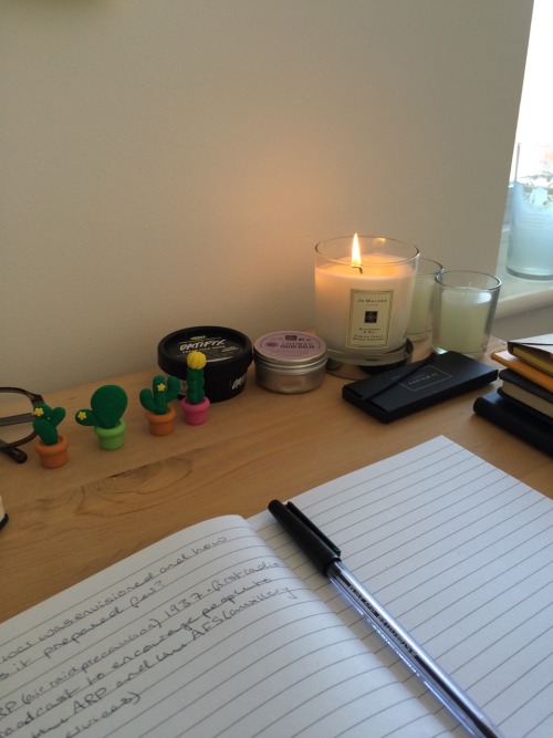 hormonerace:literally my temporary study space is feeling so cute and making me really motivated! 