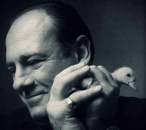 last-picture-show:  Michael O’Neill, James Gandolfini as Tony Soprano and Duck, 2006