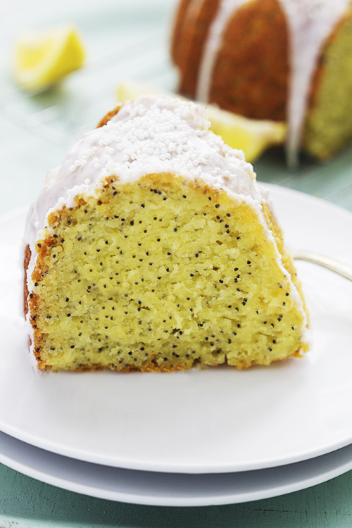 Porn Pics do-not-touch-my-food:  Lemon Poppyseed Bundt