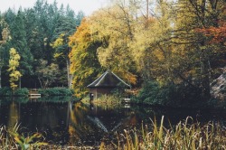 dpcphotography:  Loch Dunmore, Scotland 🍂🍁