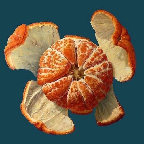 misterlemonzafterlife:  grundoonmgnx:Gérard Dubois, La mandarine éclatée (Exploded Tangerine), 2016  Oil on canvas, 120 x 120 cm https://MisterLemonzAfterlife.tumblr.com/archive