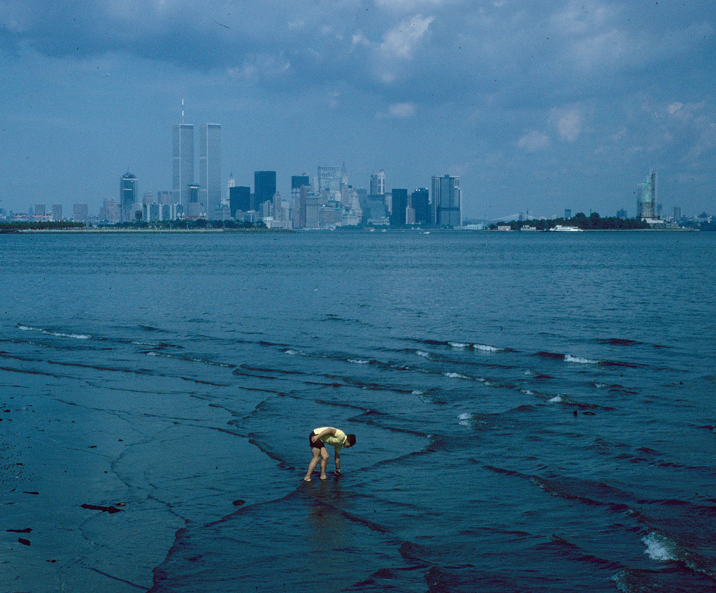 losed:  steven siegel 