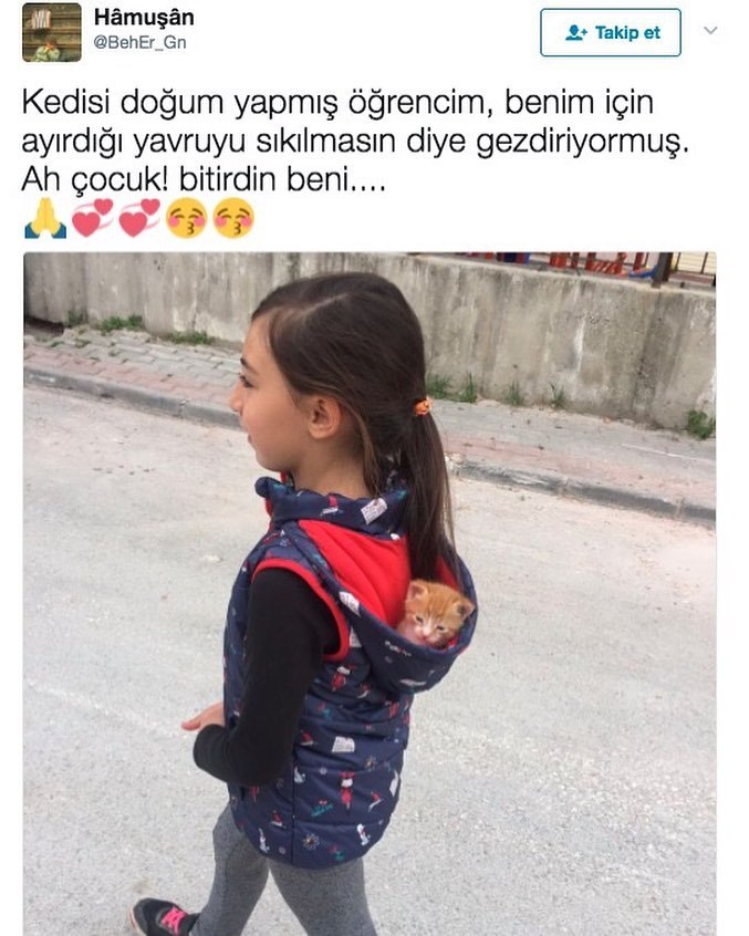 Kedisi doğum yapmış...