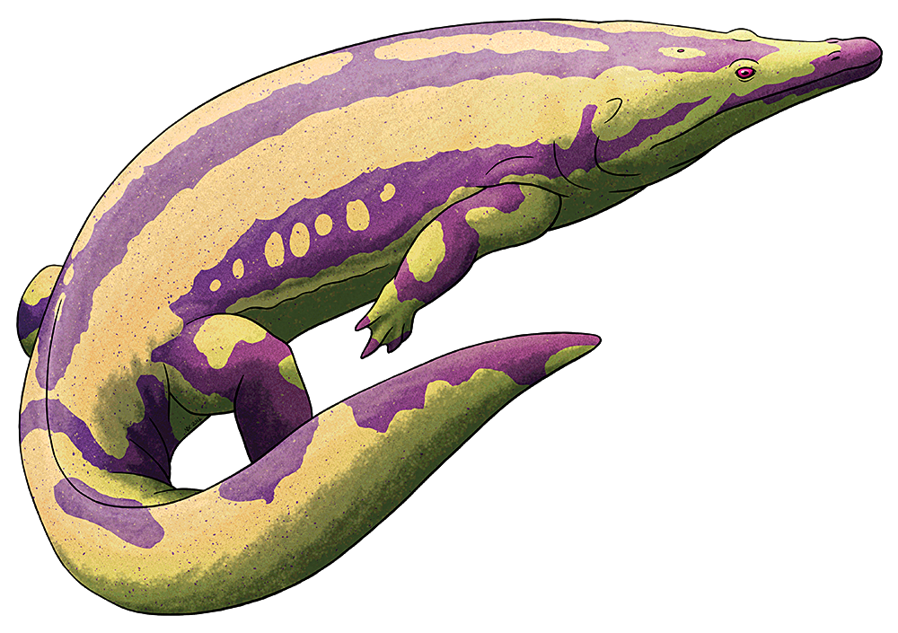 alphynix:
“ Amphibian August #15 – Trematosaurus The terrestrial temnospondyls began to decline during the Late Permian, affected by changing climate and the continuing diversification of reptiles and synapsids. But the semi-aquatic and fully aquatic...