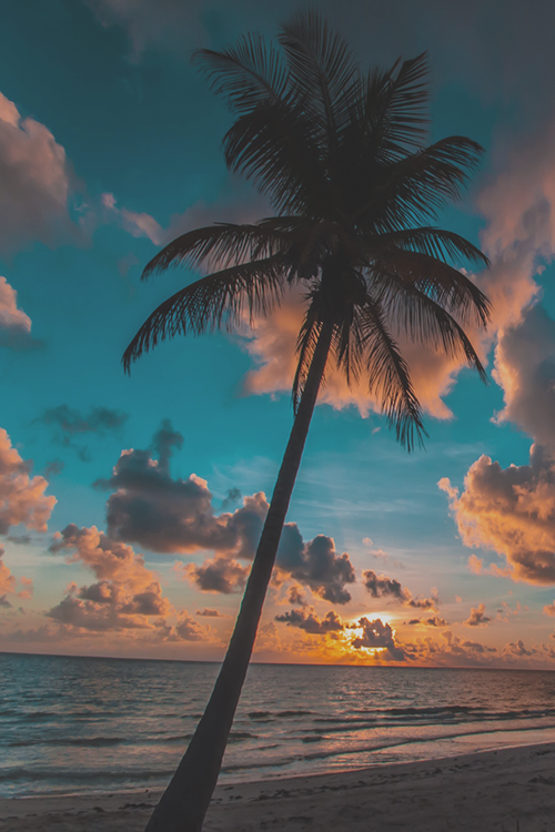 thelovenotebook:  More photography here