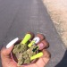bloomabilityfae:Nails, morty &amp; weed 💓