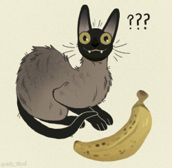 mothsprout:Wut(Cat is @/pixelandsophie on IG)