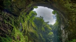 red-glitch:  El Yunque Rainforest, Puerto Rico  