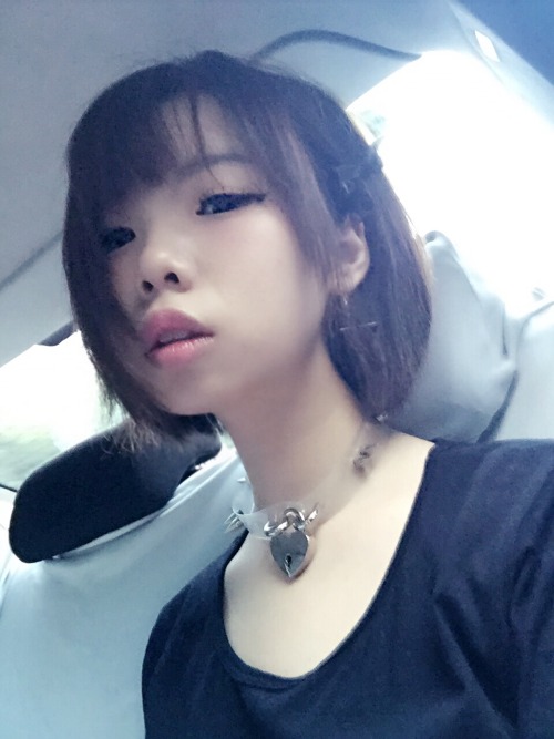 oosakishiziko:  showonstage1988:  soratum:  然而这张并不可爱。。  像个智障….  关你屁事瞎逼逼个锤子你长得那么机灵也该英年早逝了你这样的本扛坝都不稀得联系自家火葬场你自己找个火葬场躺进去吧。