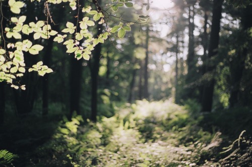 Walk into the light.