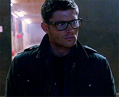 saltnburned:  Winchesters with glasses 