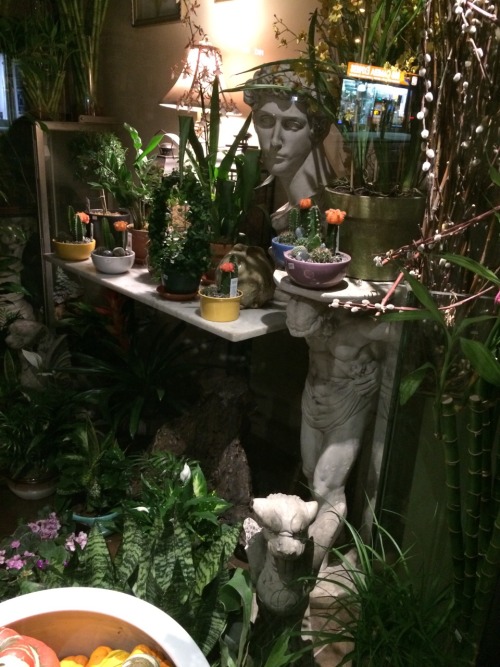 zubat:  Saw this flower store walking the streets of NYC. 