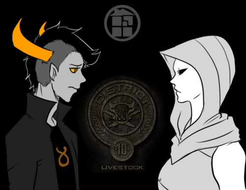 District 10 Tributes:  Boy: Tavros Nitram Girl: Windswept Questant