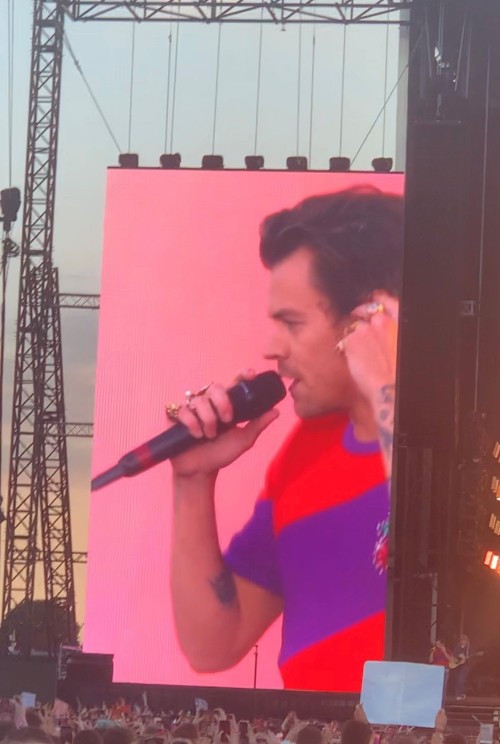 Harry Styles And (y/n) (l/n) Take The Friendship Test