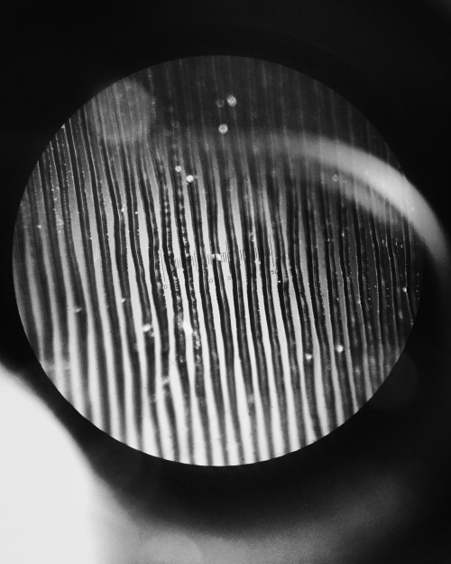 Autolux and a microscope-iphone shot of the FRESH tracks they recorded direct to acetate at @thirdma