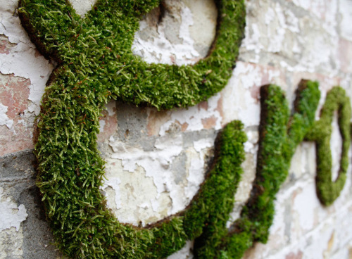 GROW / Anna GarforthA self initiated project, searching for hidden, wild spaces around London. This 