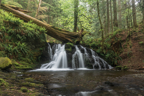 Rustic & Cavern Falls by luke.me.up lukemeup.ca