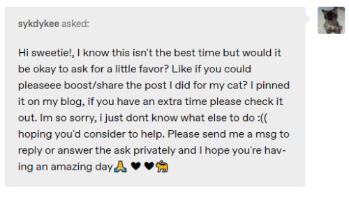 Red Flags: How To Identify A Tumblr Scam (Pet Edition)