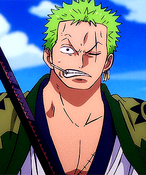Zoro Roronoa Zorojuro ロロノア ゾロ One Pie Tumbex