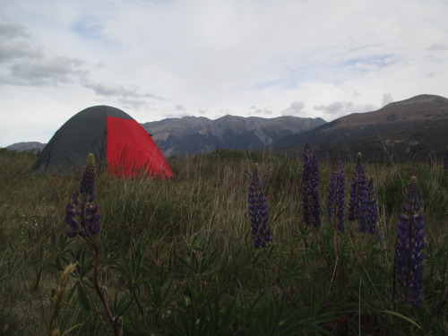 Arthur’s pass, New Zealand