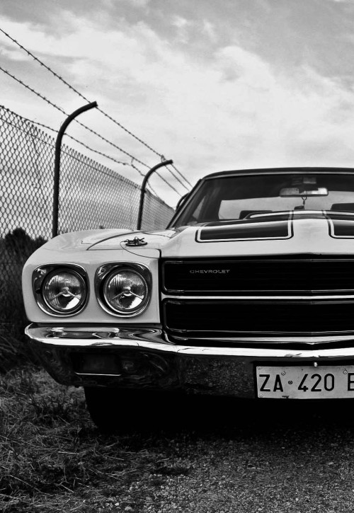 Hot Cars