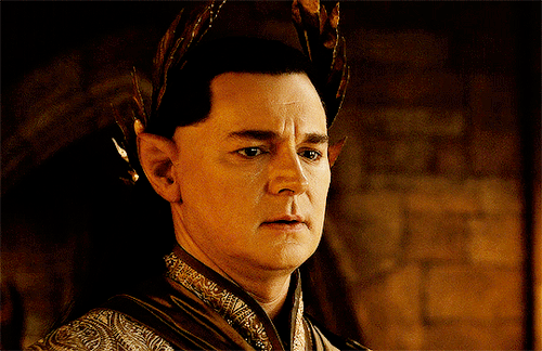 “I Don’t Know What To Say” The Words Came Out With Sobs As The High King Looked At Them Sternly.