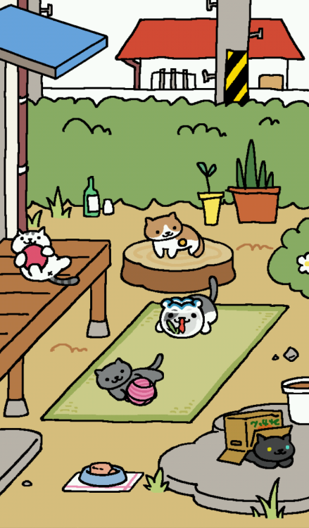 So I recently found this really cute Japanese game for your smartphone called nekoatsume ( ねこあつめ). I