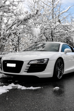 draftthemes:  cknd:   Audi R8 V8 Coupé | More | Source   Free minimalistic Tumblr layouts at http://draft-themes.co/!Follow Draftthemes on Instagram! Daily Media/Photography
