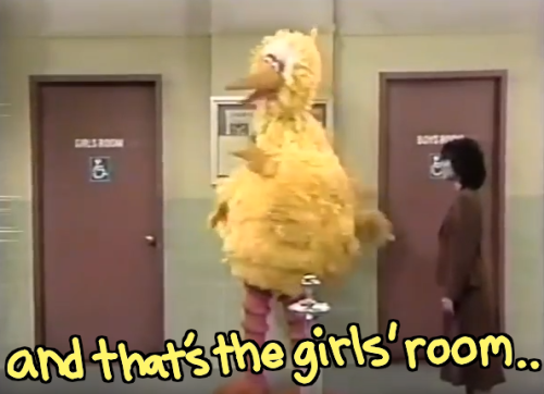 tedlyanderson:queerlyalex:raychus:hi i just love sharing my fav scene from sesame street everbig bir