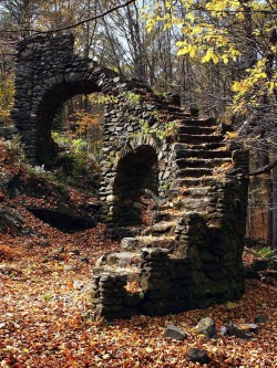 wonderlandarchive:  Stairway in the woods: