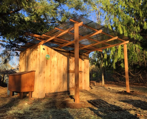 Goat Shed v1.1Today my friend James and I added a canopy to the front of the goat shed. Basically we