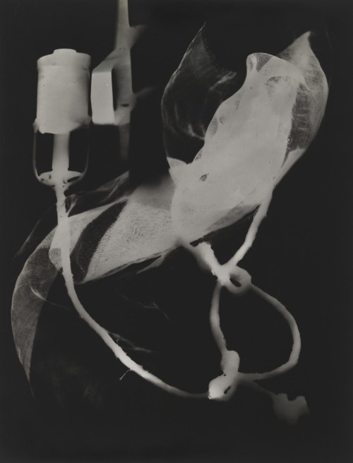 artist-manray:Rayograph, Man Ray, 1922, MoMA: PhotographyPurchaseSize: 8 7/8 × 6 13/16" (22.6 ×