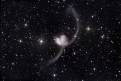 thatscienceguy:  The Antennae Galaxies; (NGC 4038/4039) Also known as the Love Heart Galaxies, They are a pair of colliding galaxies. Their interaction has led to two bands being flung out into space, prompting the name Antennae galaxies, however the