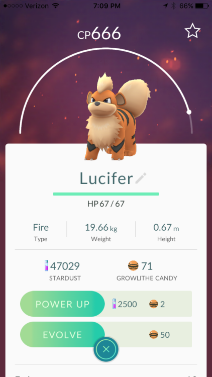 lodessa: Just caught this one. I am never powering this Growlith up or evolving it. Husband caught