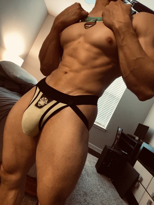 Everything Jockstrap