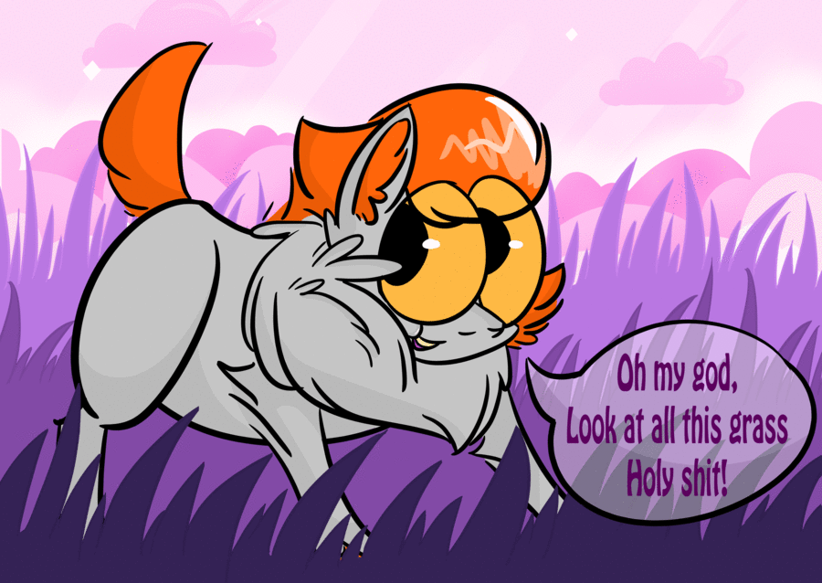 ask-vasara:Mod: Vasara gets excited over large fields. Vasara can answer question