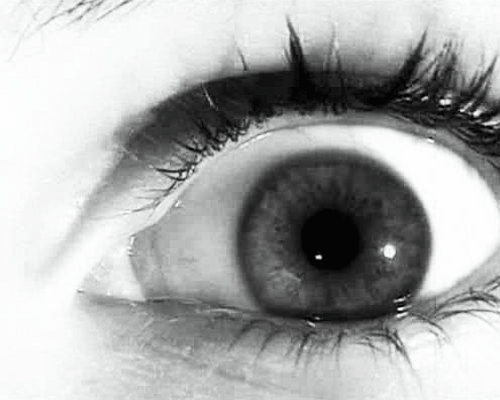 EVIL IS A POINT OF VIEW..