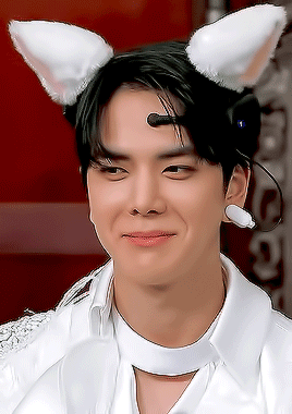 gneocchi:THE CAT!BOYZ