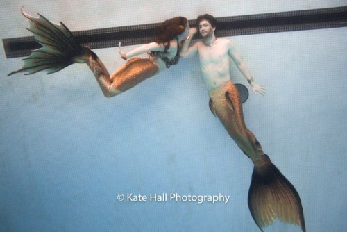  www.mermaidraina.comwww.halifaxmermaids.comwww.makemeamermaid.com 