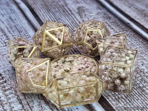 dicekatdice: BotanicalThese dice are currently uninked, which is why you cannot easily read the numb
