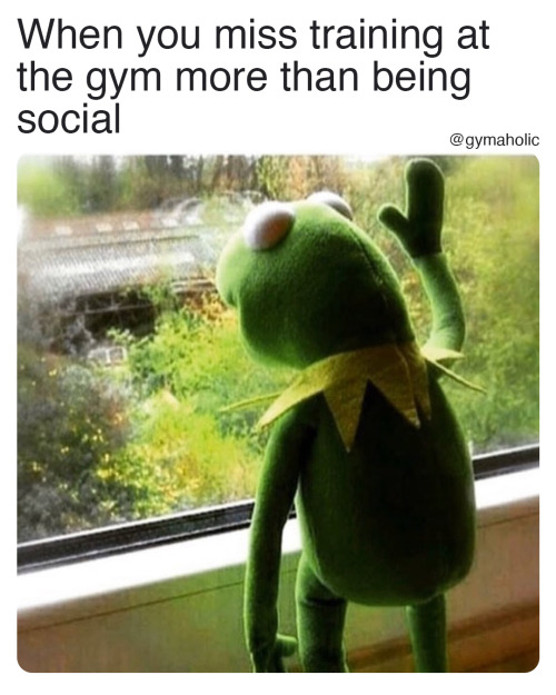 When you miss training at the gymMore than being socialhttps://www.gymaholic.co