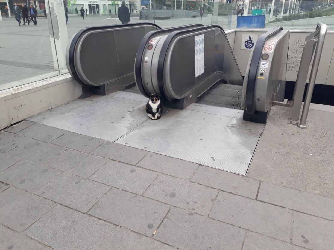 the-cozy-room: I looked it up and apparently this is in Istanbul, Turkey. She is