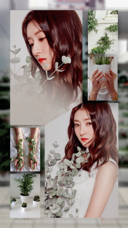 『SUA』Dreamcatcher’ saved? reblog or like