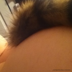 justagluttonforpunishment:I put my tail in all by myself.