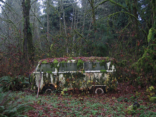 jollyrogers777:  anuika:  Old ruins.  LOVE when nature takes back 