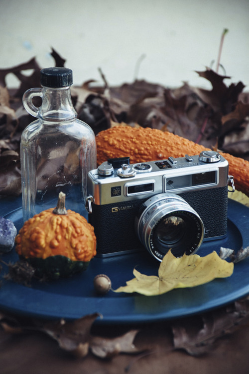 davelawrencephoto: Still Life - Yashica Electro 35