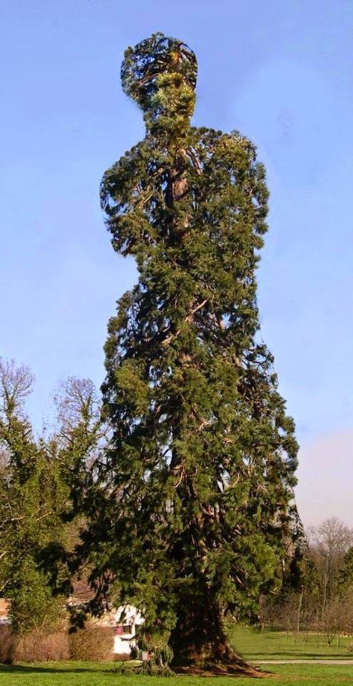 Artificial topiary trees