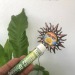 blazinbabee:I finally got my medical card Nd the dispensary gave me a free preroll🤠🤠